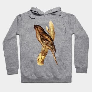 Australian Tawny Frogmouth Bird Illustration Hoodie